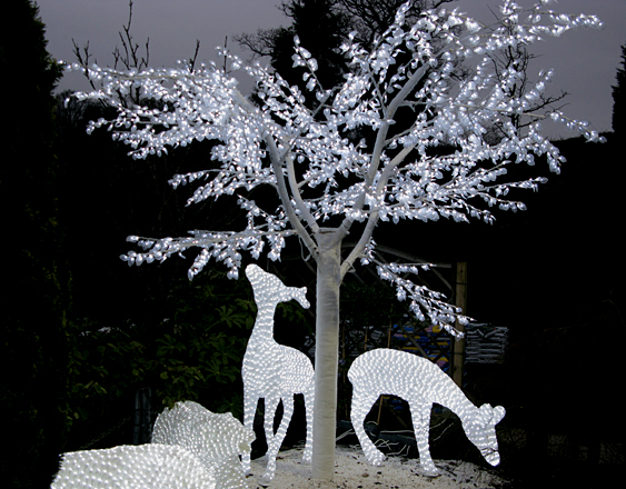 ambleside-hayes-garden-centre-08-small